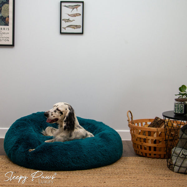 Cozy Teal Ancol Super Plush Donut Bed for Ultimate Comfort